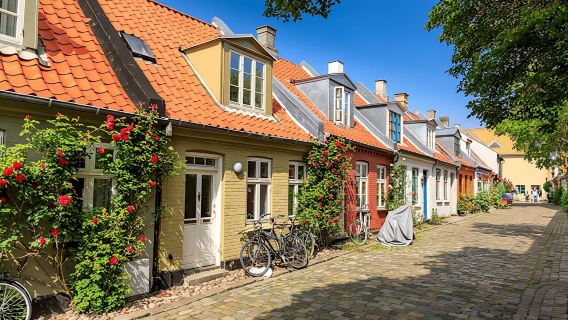 Introductory walking tour of Aarhus with a local
