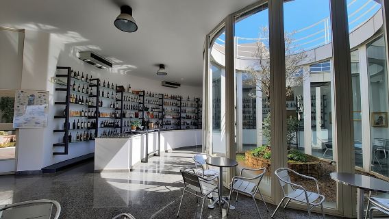 Berchidda Wine Museum entrance ticket with wine tasting