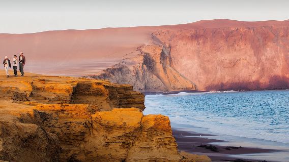 Full Day Tour to Visit Ballestas Islands and Paracas Reserve