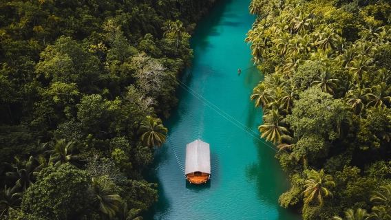 Tour classico di un giorno a Bohol: Chocolate Hills + Tarsier + Crociera sul fiume Lobo + Firefly Safari