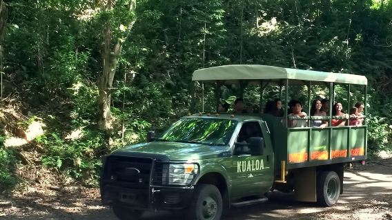Tour thám hiểm rừng rậm bằng xe Jeep tại Kualoa Ranch Hawaii - Địa điểm quay phim Jurassic Park