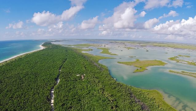 Demi-journée de découverte de Sian Ka'an avec déjeuner