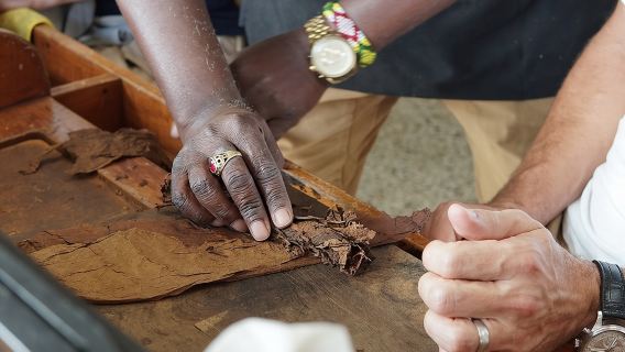 Cigar Factory Tour in Little Havana, Miami