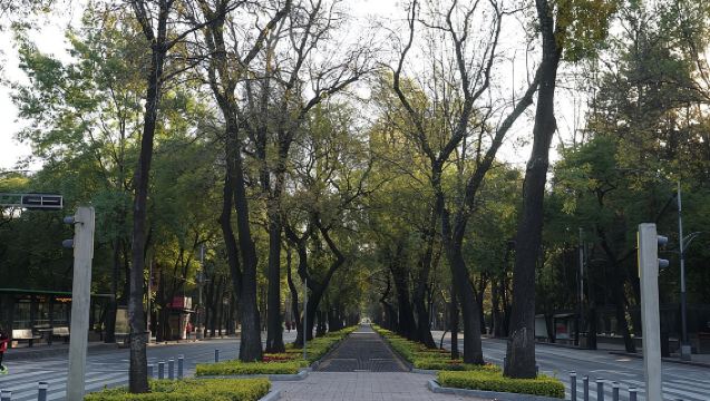 เม็กซิโกซิตี้: ทัวร์ปั่นจักรยานชม 19 ไฮไลท์ของเมือง