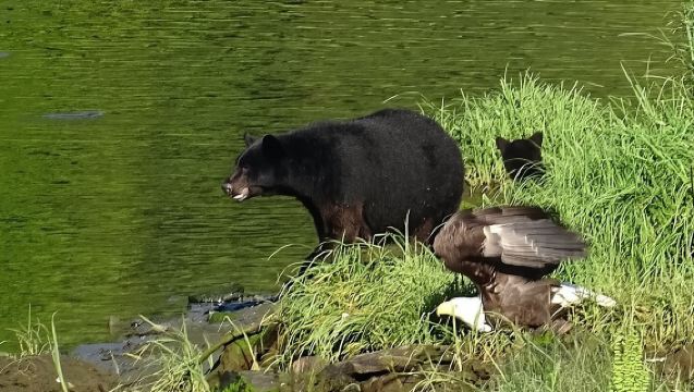 Создайте свою индивидуальную экскурсию