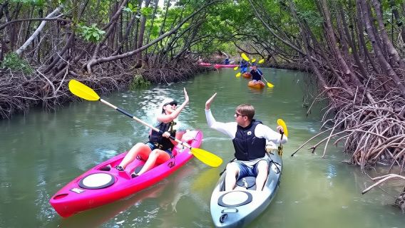Zanzíbar: Recorrido en kayak por el bosque de manglares y visita a la playa de Paje