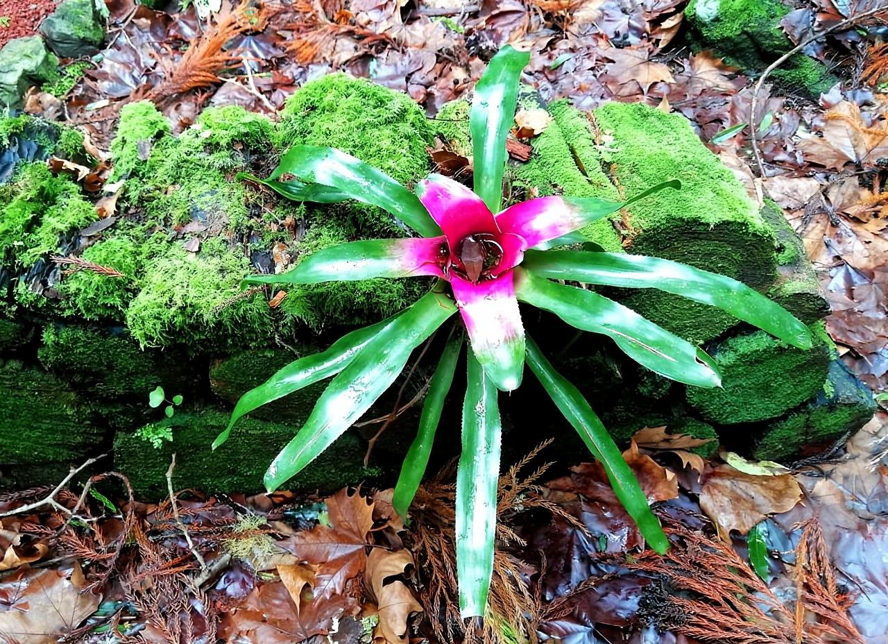 S. Miguel Ost: 1-tägige Privattour zu den landschaftlich reizvollsten Highlights
