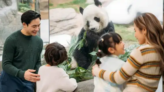 香港：海洋公園門票+高級印度套餐