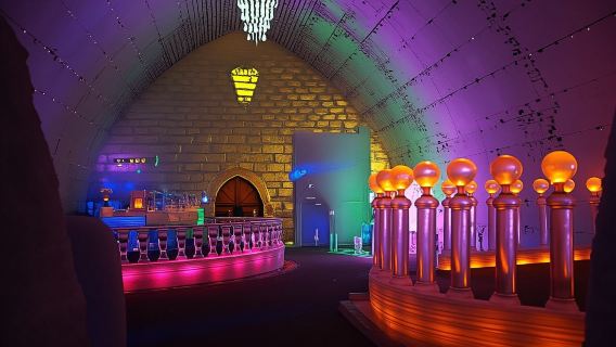 Desde Fairbanks: Excursión para ver la aurora boreal en las aguas termales de Chena