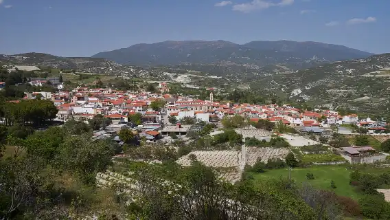 パフォス発:キプロスの歴史を巡るツアー(ランチとワイン付き)