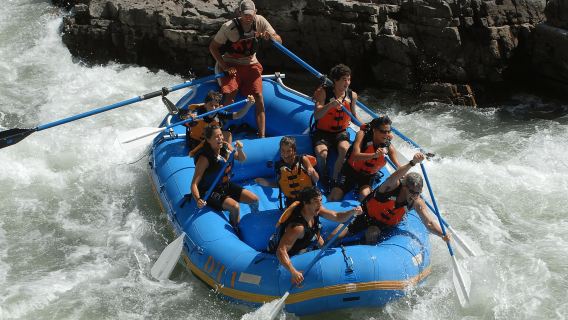 Jackson: 4-Hour Small Boat Snake River Whitewater Rafting