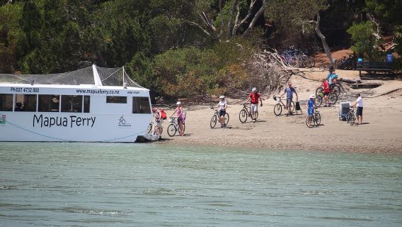 Nelson to Mapua: Full-Day Cycling Self-Guided Adventure