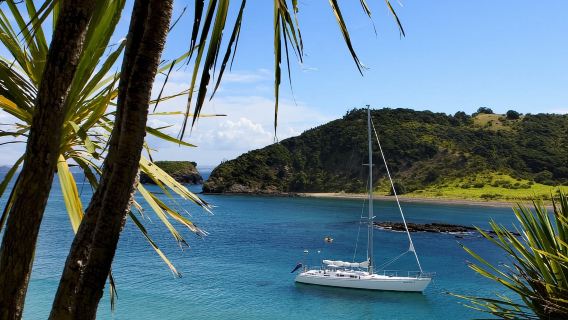 Baie des Îles : Superbe excursion d'une journée en voilier avec escale sur une île