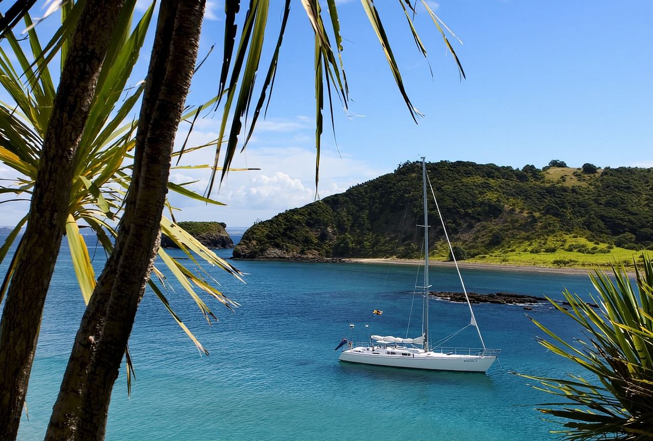 Bay of Islands: Fantastische Tagessegeltour mit Inselstopp