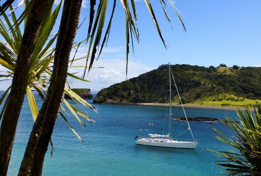 Bay of Islands: Fantastische Tagessegeltour mit Inselstopp