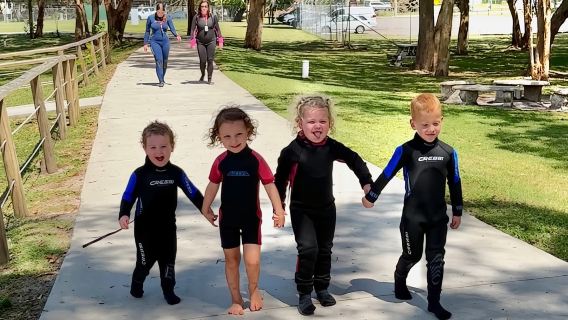 Anna Bay: Irukandji-Eintritt mit Zebrahai-Schnorcheln