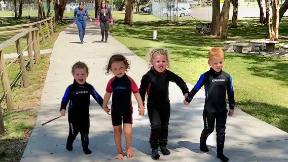 안나 베이: 얼룩말 상어 스노클링과 함께 이루칸지 입장