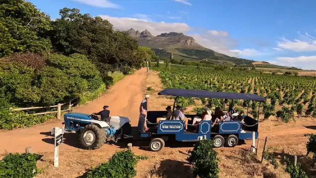 เคปทาวน์: ทัวร์ชิมไวน์ด้วยรถแทรกเตอร์ Hop-On Hop-Off ที่เมืองสเตลเลนบอช