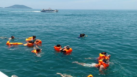 เกาะจาม: สัมผัสประสบการณ์ดำน้ำตื้นและรับประทานอาหารกลางวันในทัวร์หนึ่งวัน