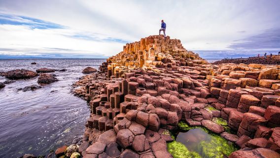 Dublino: tour guidato della Giant's Causeway, Dark Hedges e Titanic