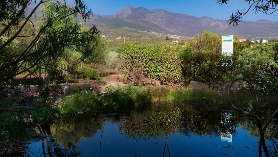 Teneriffa: Führung durch die Pirámides de Güímar