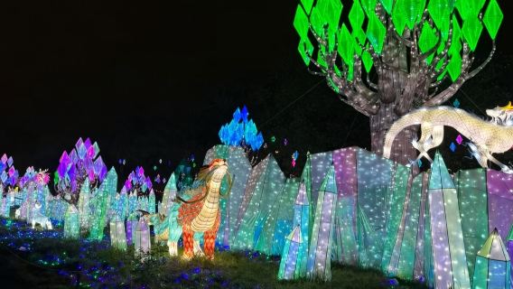 美國波士頓新英格蘭水族館+富蘭克林動物園【親子時光】