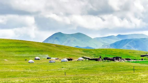 紐西蘭一日遊毛利文化村+愛歌頓農場