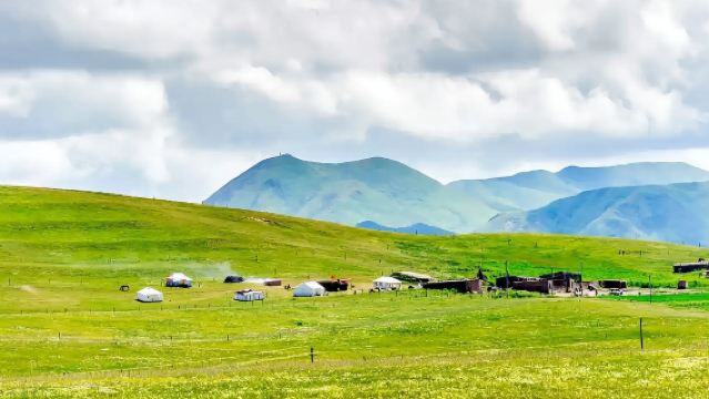 New Zealand 1-Day Tour: Maori Cultural Village + Agrodome