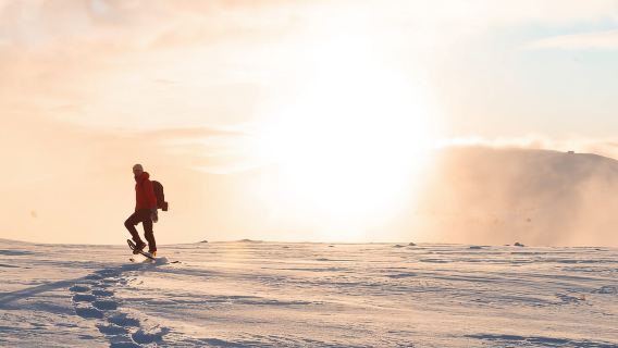 Levi: Panoramic Snowshoeing at the Top of Levi Fell