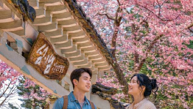 Escursione di un giorno a Nami Island, Petite France e Italian Village da Seul