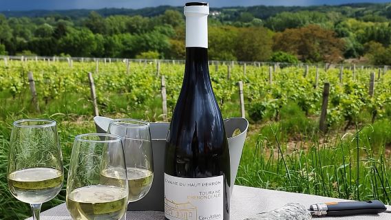 Tour đạp xe điện thưởng thức rượu vang & phô mai kết hợp dã ngoại ẩm thực cao cấp giữa vườn nho