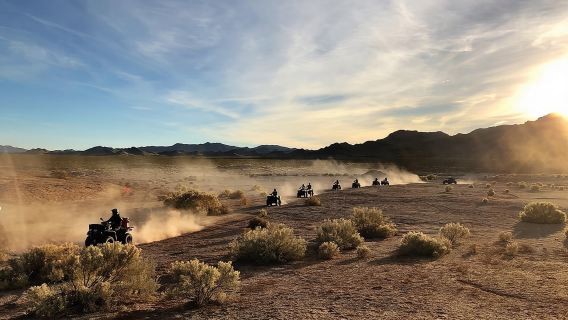 Half-Day Mojave Desert ATV Tour from Las Vegas