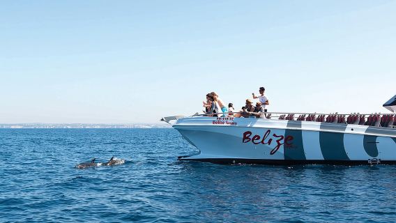 Dolphin Watching and Cave Boat Cruise from Albufeira