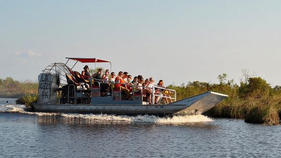Paseo en hidrodeslizador con transporte desde Nueva Orleans