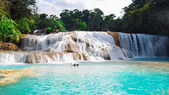 Tour cascadas de Agua Azul, Cascada Misol-Ha y Zona Arqueológica de Palenque.