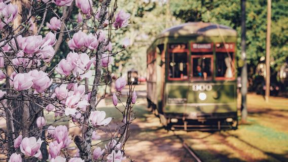 La Vie NOLA: Private Stadtrundfahrt durch New Orleans