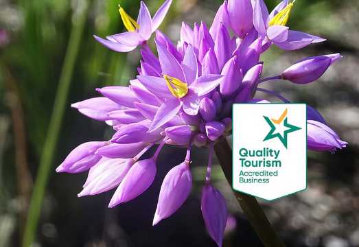 Spring Wildflower Private Day Tours AUD 980.27