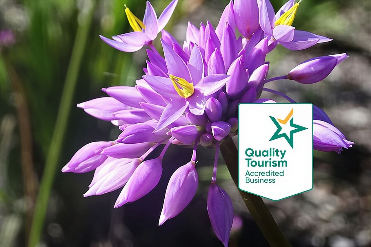 Privédagtochten naar wilde bloemen in de lente