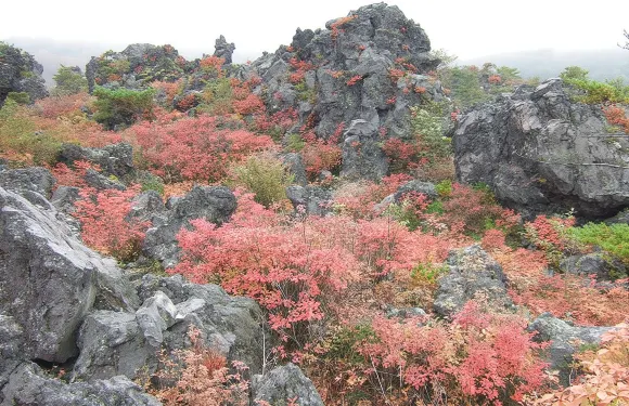 鬼師田園小學生