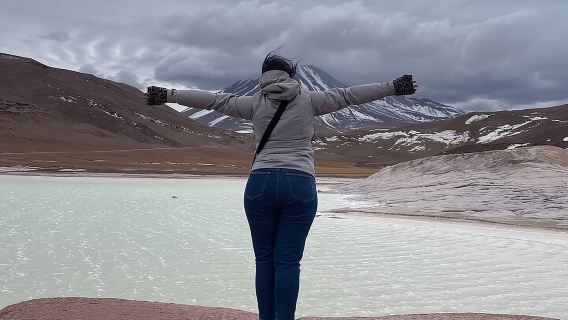 ทัวร์ทะเลสาบ Altiplanic และ Piedras Rojas จากซานเปโดร เดอ อตาคามา