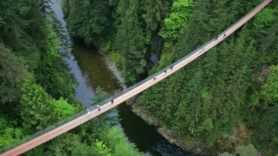 Tour tham quan Vancouver trong ngày: Cầu treo Capilano và Đài quan sát [Tour tiếng Anh]