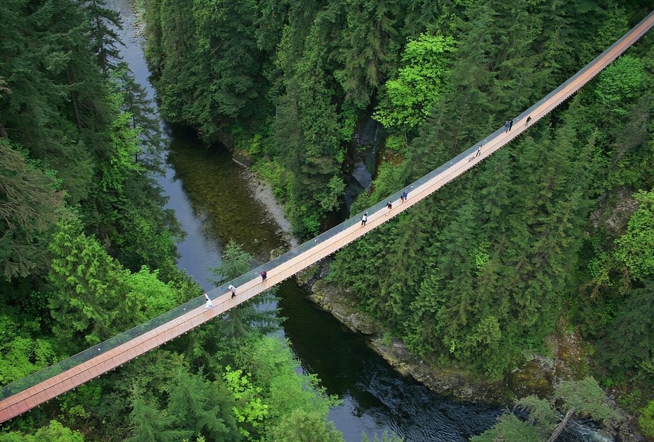 Excursión de un día por Vancouver: Puente colgante Capilano + plataforma de observación [Tour en inglés]