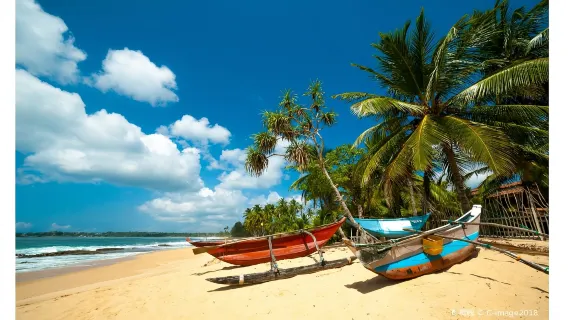 tour di un giorno a Sigiriya, Tempio del Dente e lago Kandy in Sri Lanka