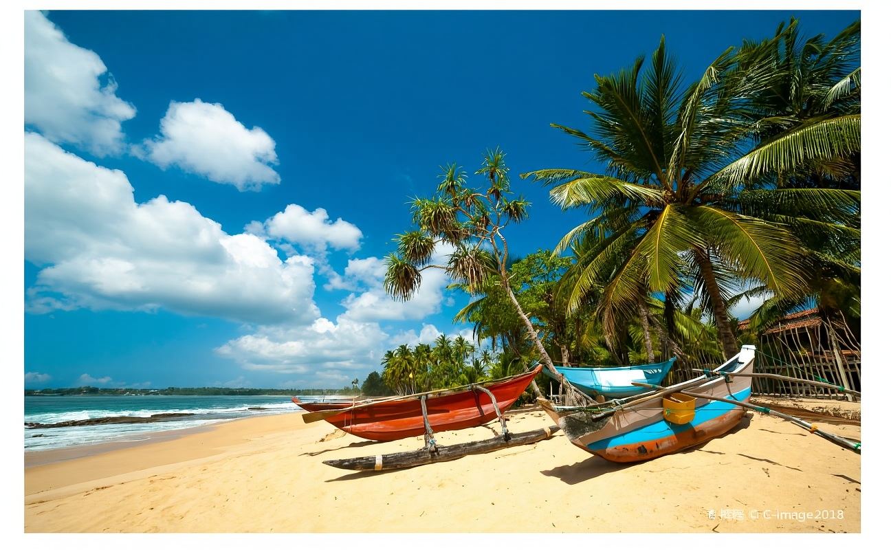 Excursión de un día a Pinnawala (Orfanato de Elefantes) y la Roca del León en Colombo, Sri Lanka