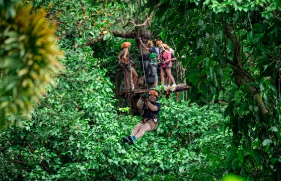 蘇梅島樹橋咖啡叢林飛躍|Tree Bridge Zipline|體驗刺激的叢林穿梭