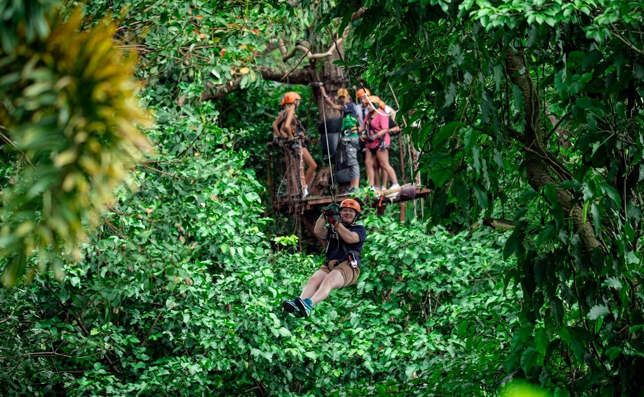 Koh Samui Tree Bridge Coffee Ziplining|Tree Bridge Zipline|Thrilling Jungle Zipline Adventure