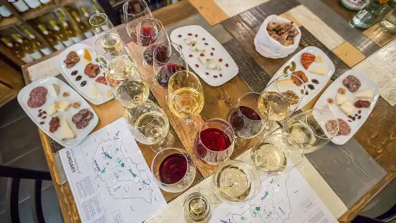 Evening Wine, Cheese, & Charcuterie Tasting in Budapest