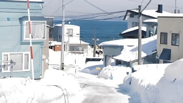 日本旭山動物園-旭川拉麵村-富田農場【北海道中文專車】