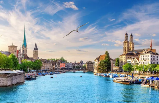 私人直達接送：巴塞爾至蘇黎世，英語司機