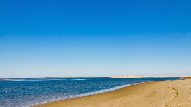 Tour en lancha rápida de 1 o 2 horas - Ría Formosa